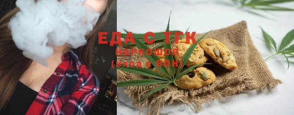 стаф Ельня